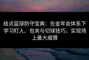 给点蓝球防守宝典：在金年会体系下学习盯人、包夹与切球技巧，实现场上最大威慑
