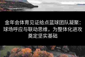 金年会体育见证给点蓝球团队凝聚：球场呼应与联动思维，为整体化进攻奠定坚实基础
