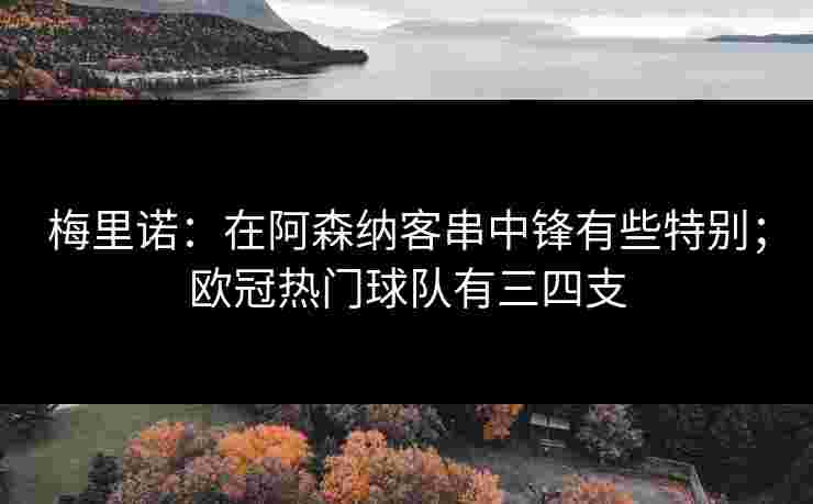 梅里诺：在阿森纳客串中锋有些特别；欧冠热门球队有三四支